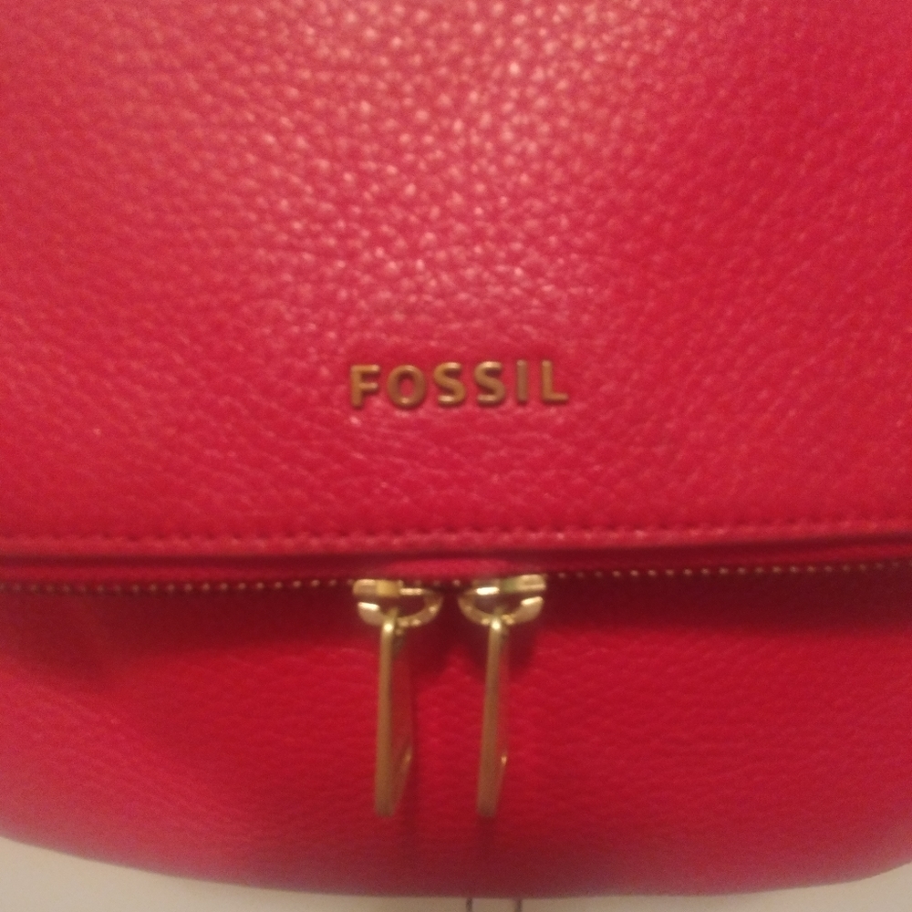 Fossil expanding crossbody